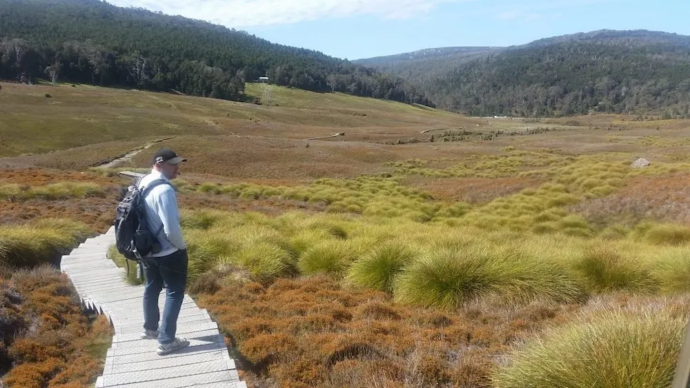 Man hiking on the boardwalk at Ronny Creek, Tasmania Australia