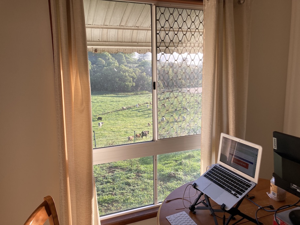 Laptop set up on a stand on a dining table, green field and cows can be seen through the window.